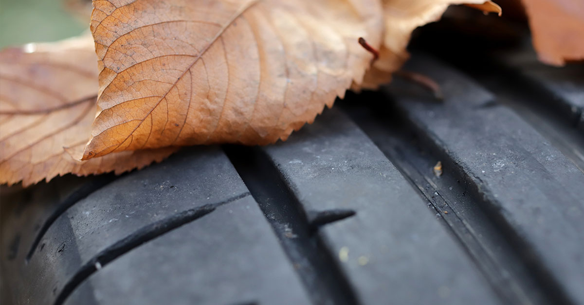 Tire with leaves on it - Sierra Blanca Motors